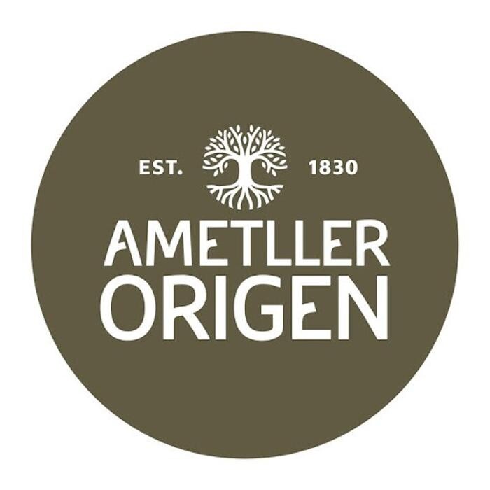 Ametller Origen Logo