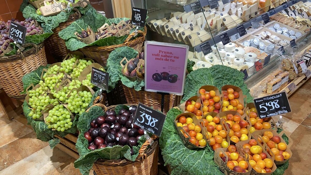 Images Ametller origen