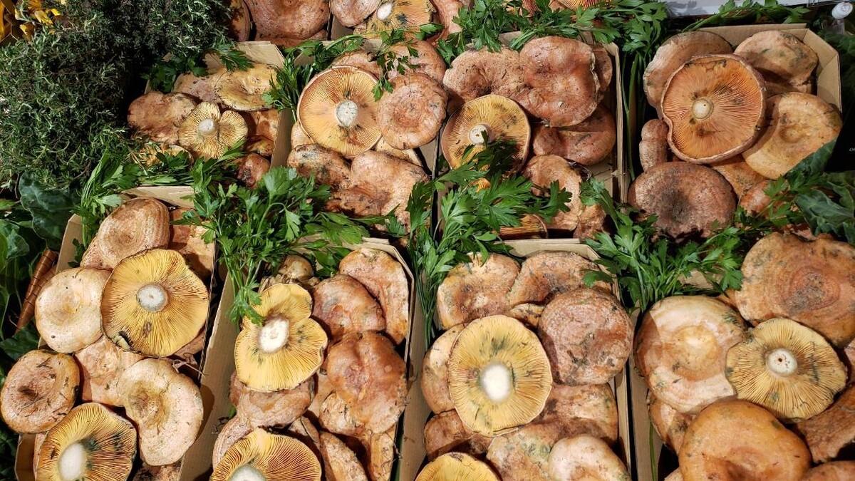 Images Ametller Origen