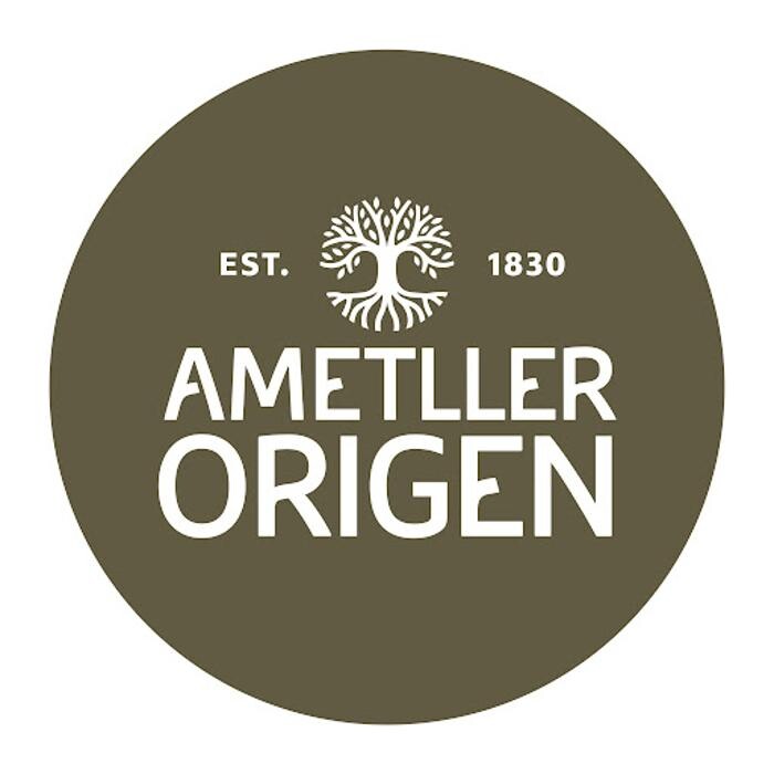 Ametller Origen Logo