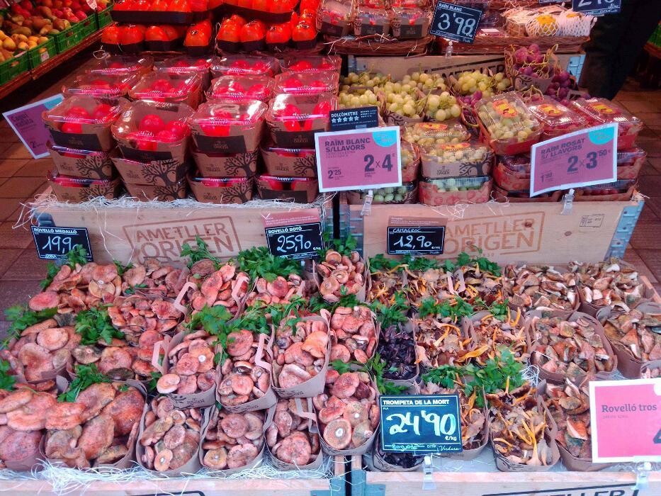 Images Ametller Origen