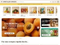 Website Screenshot Ametller Origen