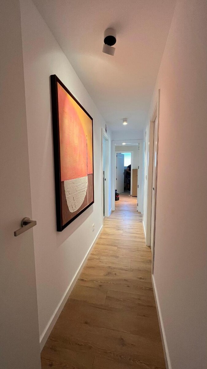 Images Artefactum Studio.