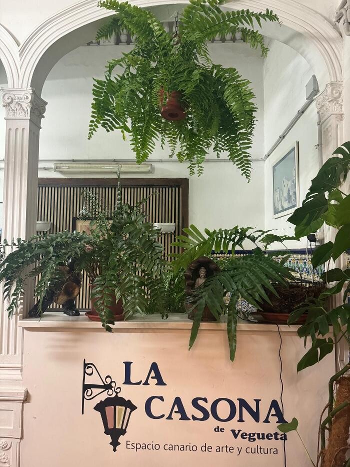 Images La Casona de Vegueta - Coliving Artístico y Albergue Cultural