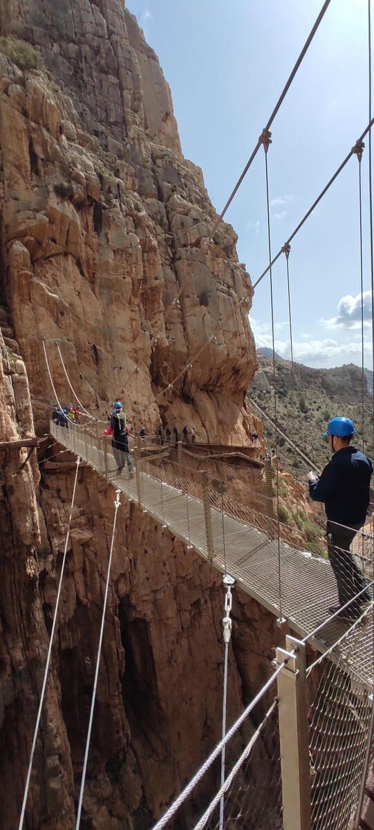 Images Málaga Paso a Paso Tours - Free Tours y Tours Privados por Málaga