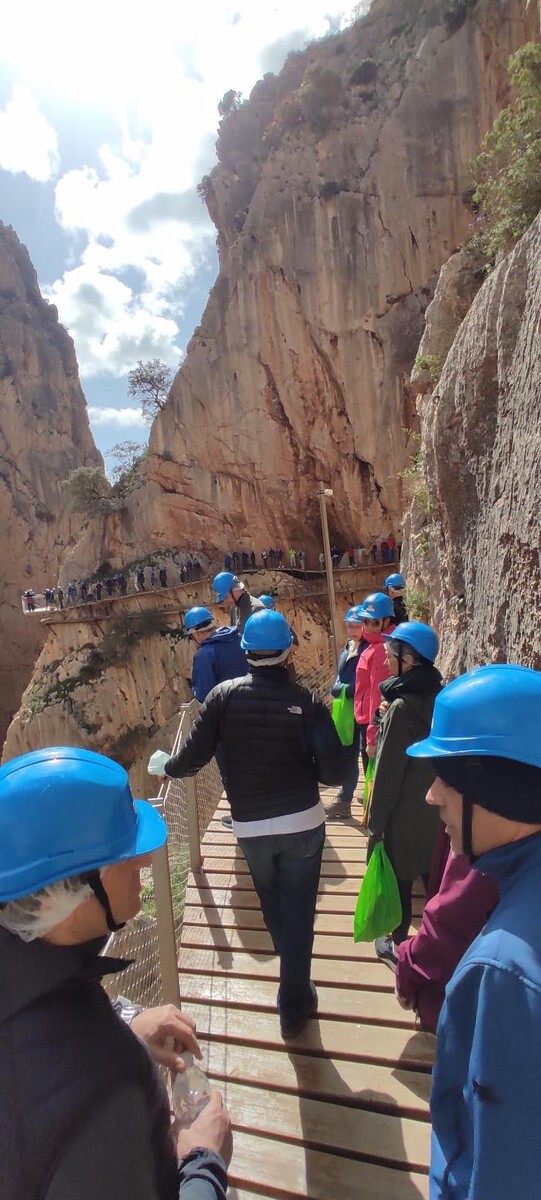 Images Málaga Paso a Paso Tours - Free Tours y Tours Privados por Málaga