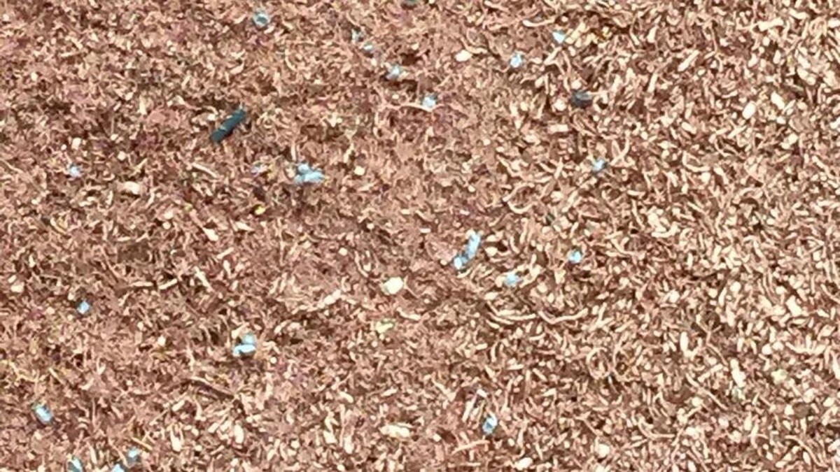 Images Chatarras Joan Sanchez, S.A.