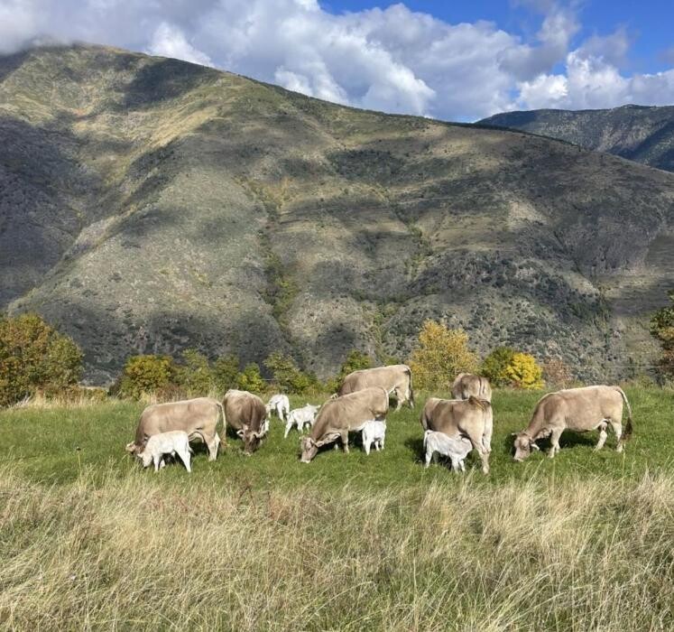 Images GRANJA ECOLÓGICA CASSOVALL