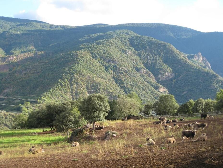 Images GRANJA ECOLÓGICA CASSOVALL