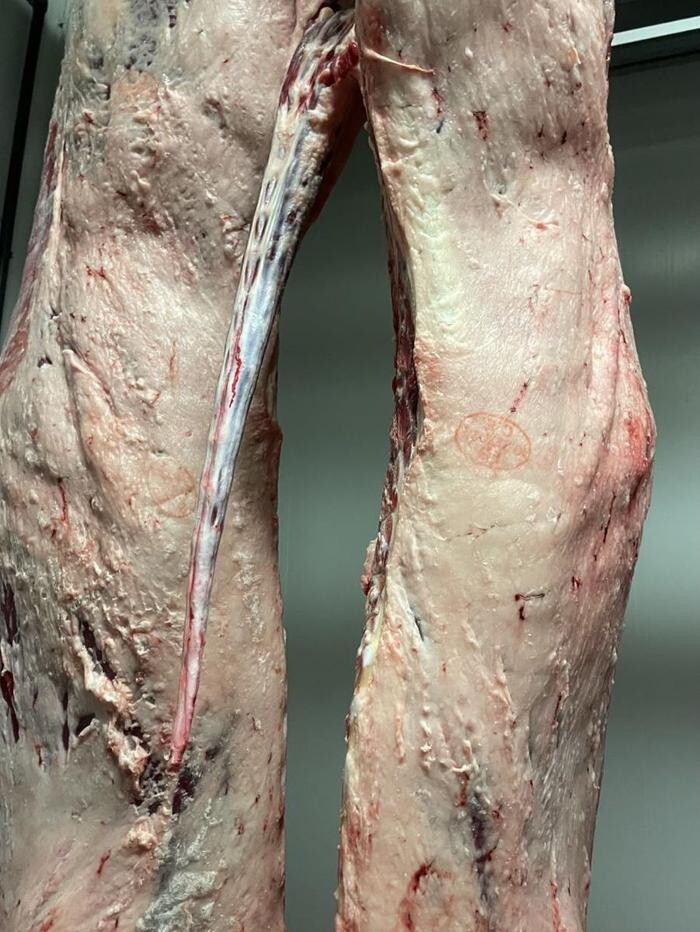 Images GRANJA ECOLÓGICA CASSOVALL