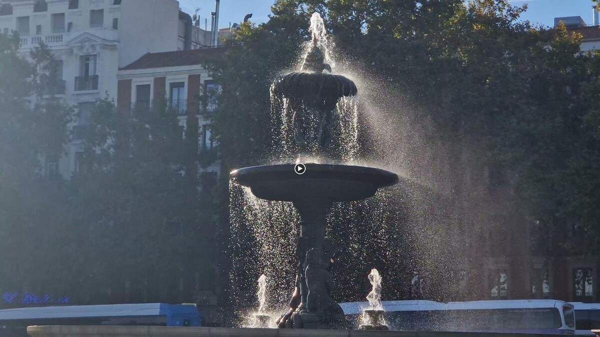 Images Felix Damian Photo