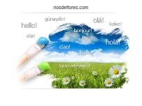 Website Screenshot Rios de flores