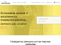 Website Screenshot Bonallum