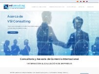 Website Screenshot VSI CONSULTING