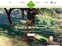 Website Screenshot Niño Manuel Sl