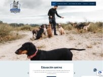 Website Screenshot Ferrer Adiestramiento