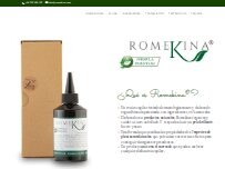 Website Screenshot Romekina