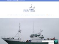 Website Screenshot Asesoría Pesca Naval