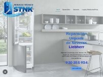 Website Screenshot servicio tecnico stnk