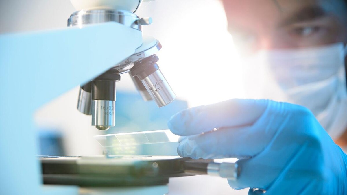 Images Ainprot, S.A.