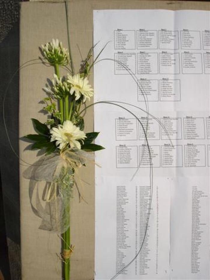 Images Cardona Flors i Plantes