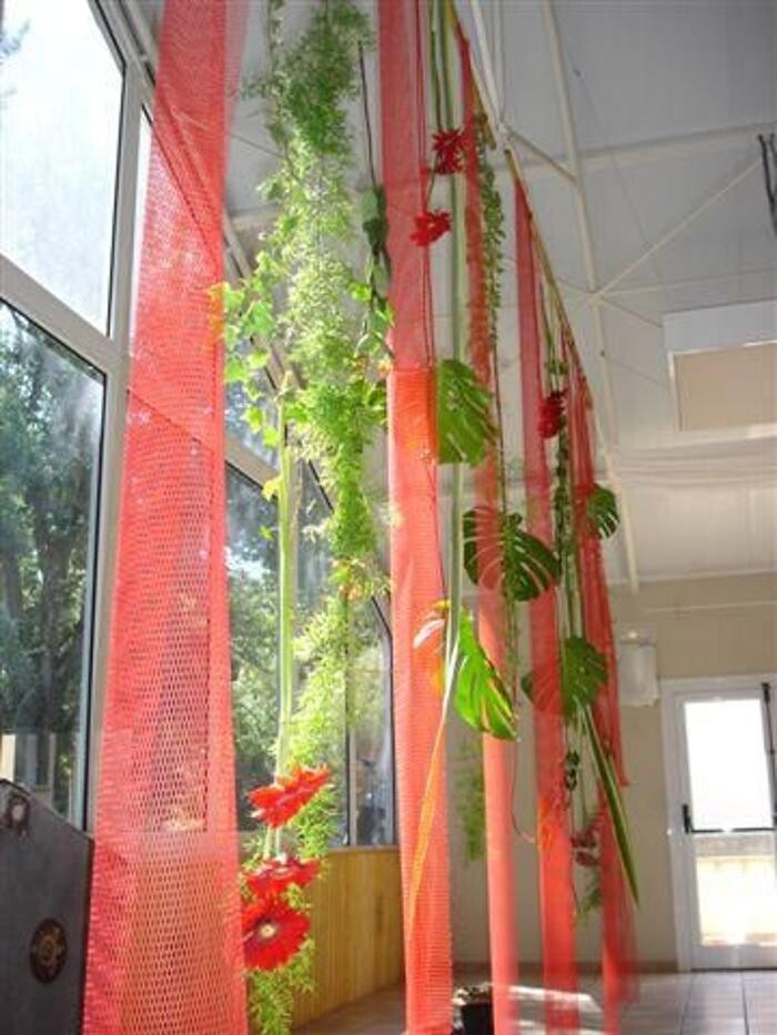 Images Cardona Flors i Plantes