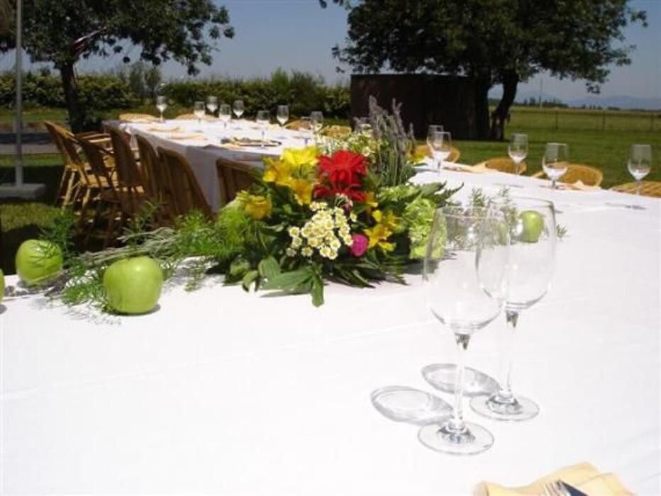 Images Cardona Flors i Plantes