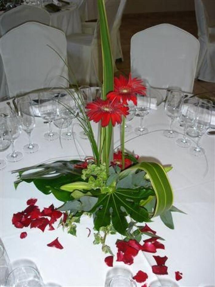 Images Cardona Flors i Plantes