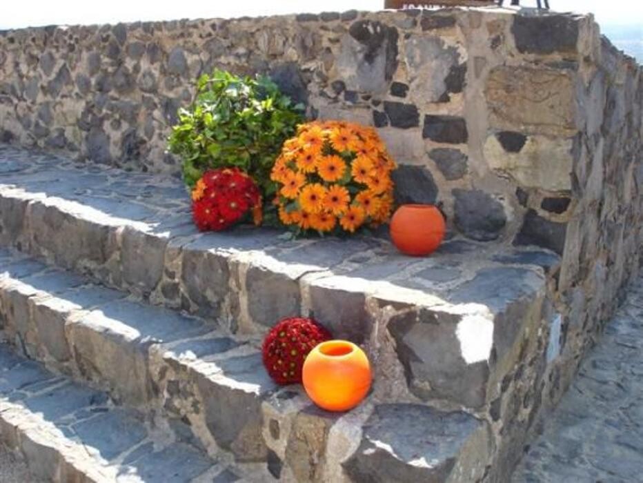 Images Cardona Flors i Plantes