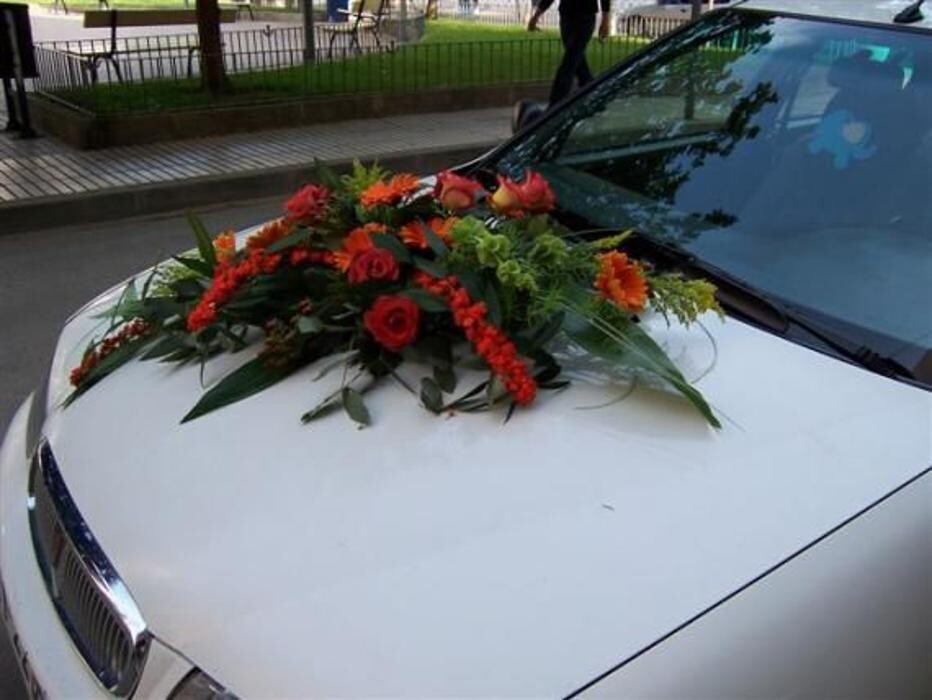 Images Cardona Flors i Plantes