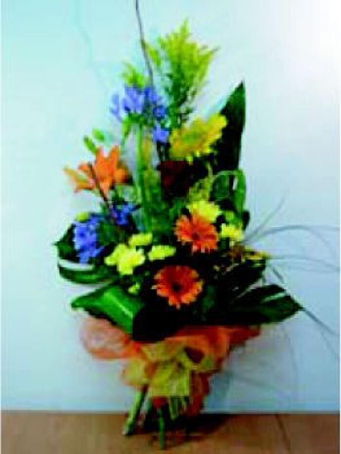Images Cardona Flors i Plantes