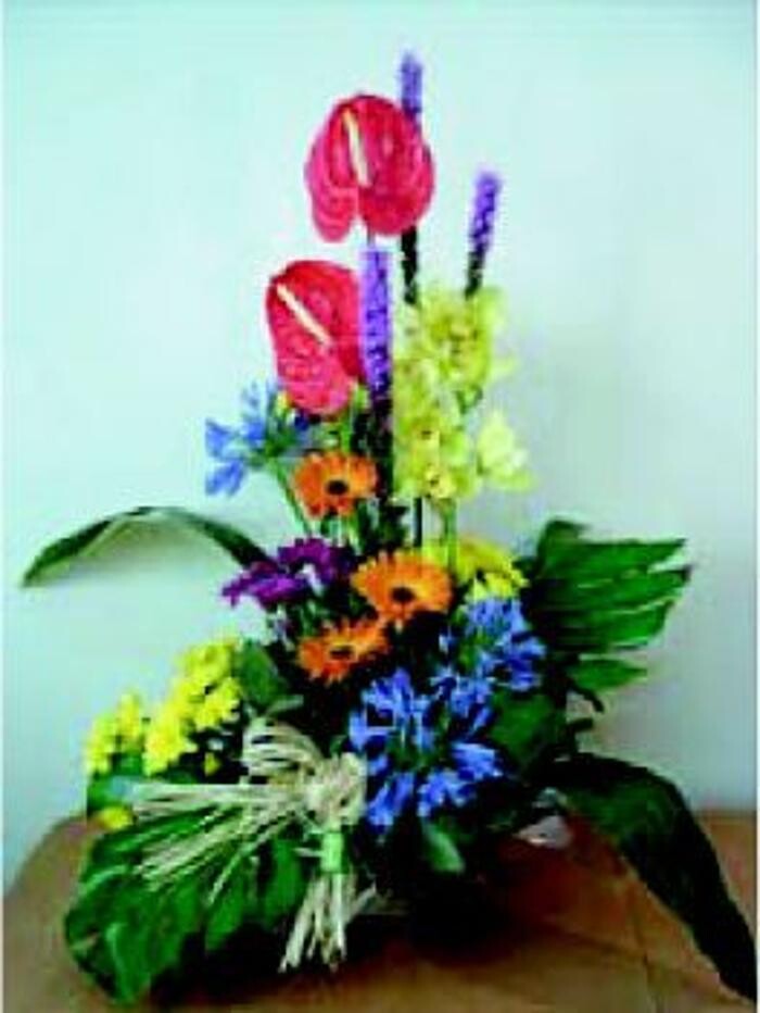 Images Cardona Flors i Plantes