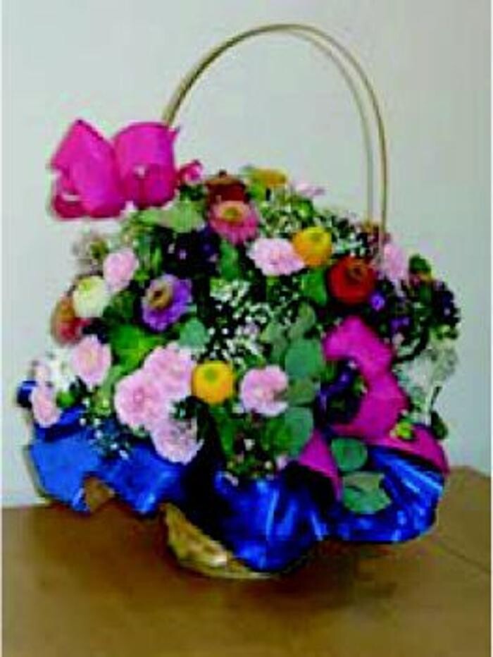 Images Cardona Flors i Plantes