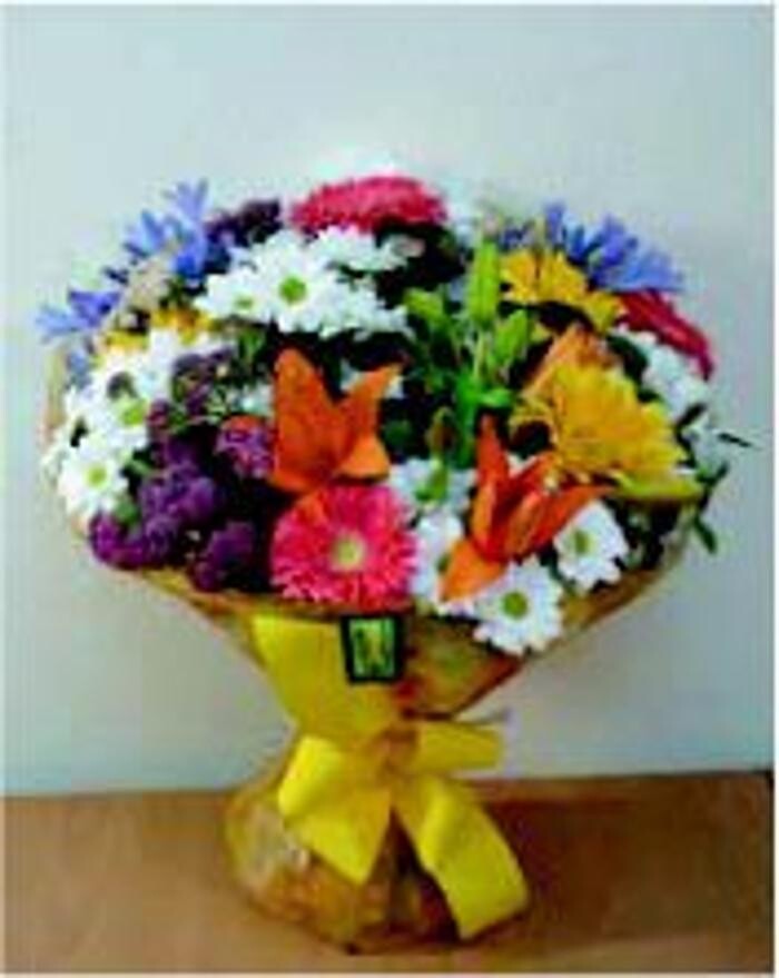Images Cardona Flors i Plantes