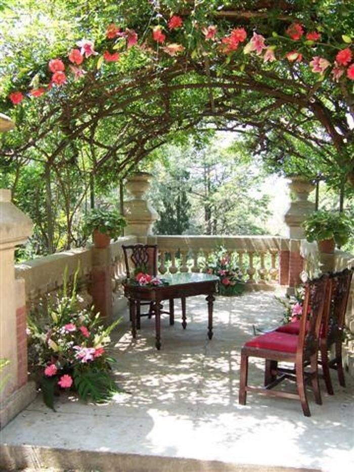 Images Cardona Flors i Plantes