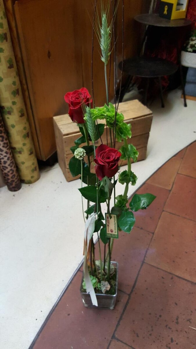 Images Cardona Flors i Plantes