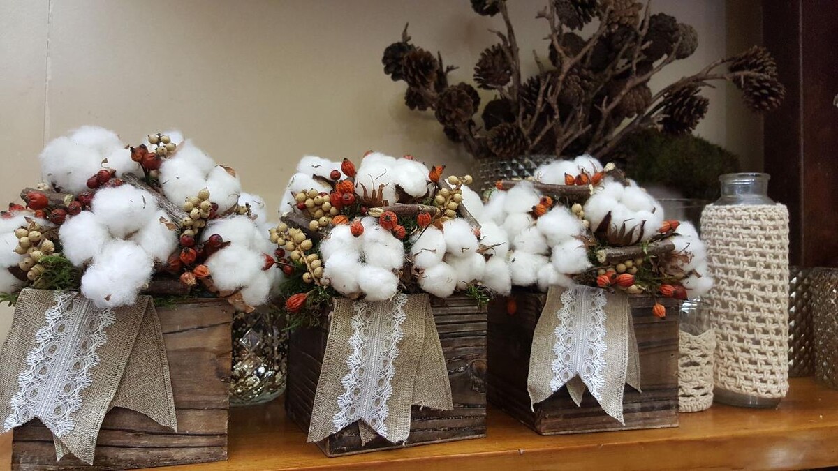 Images Cardona Flors i Plantes