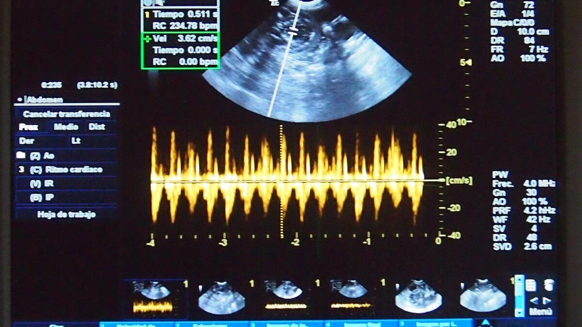 Images Centro Médico Veterinario Los Álamos