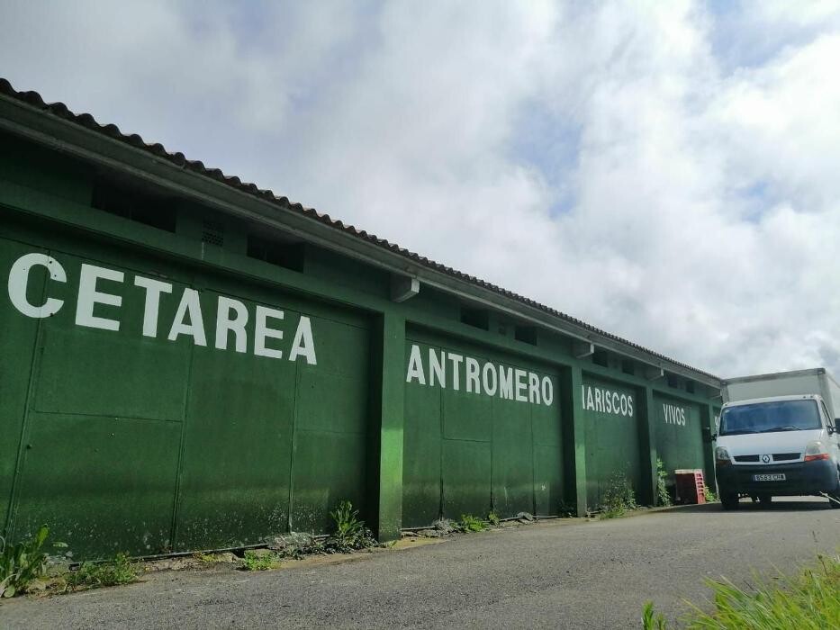 Images CETÁREA ANTROMERO