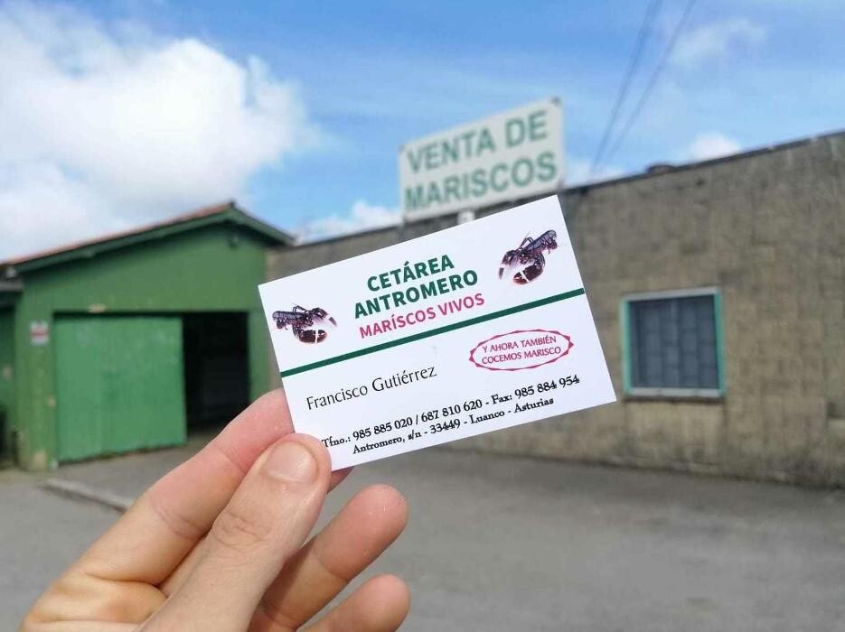 Images CETÁREA ANTROMERO