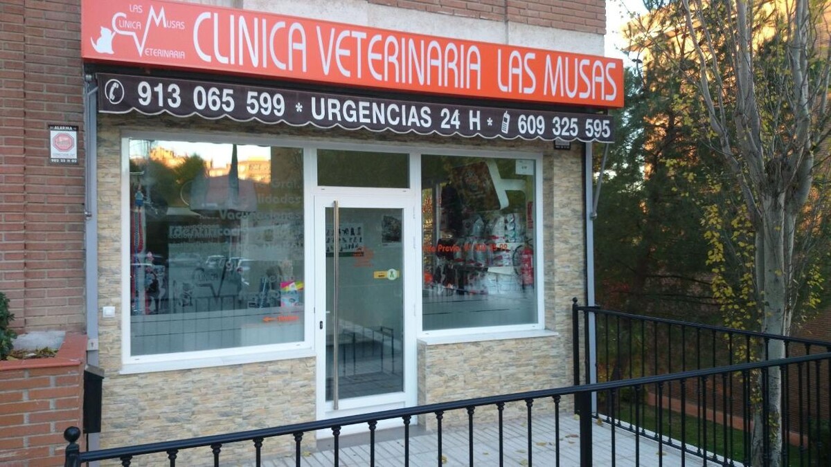 Images Clínica Veterinaria Las Musas