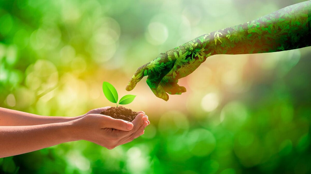 Images El rebost de la natura