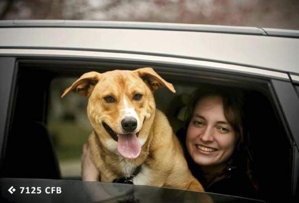 Images Marcacar - Grabacion De Matriculas