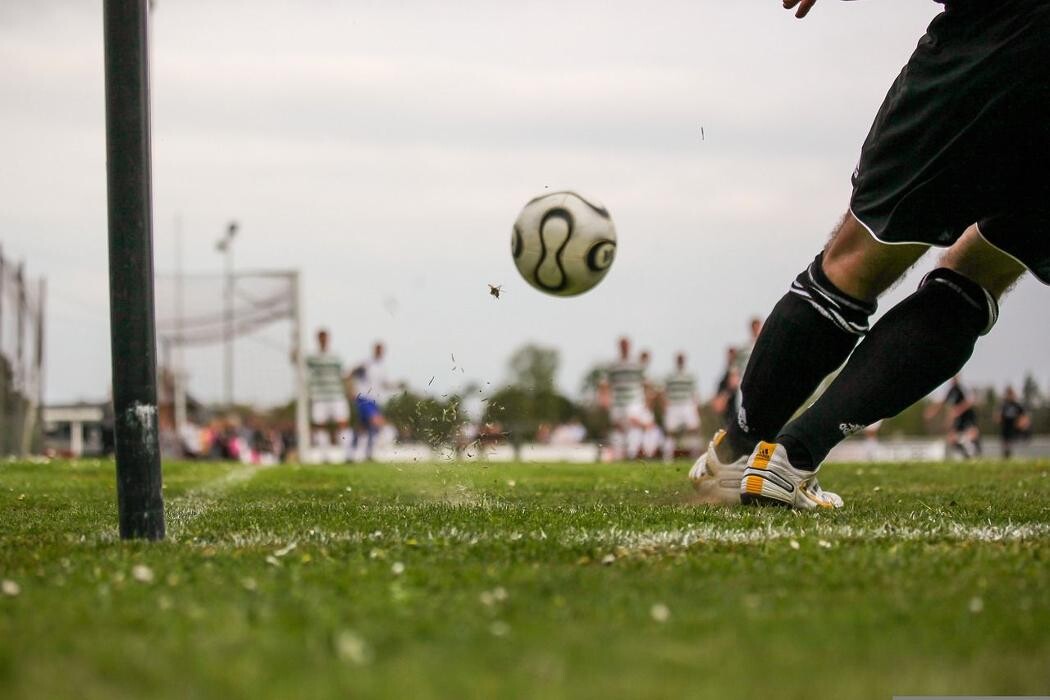 Images TAM TACTICAL ADVISING MANAGEMENT