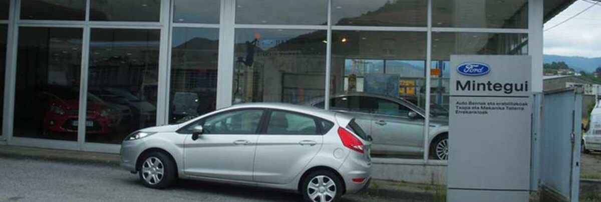 Images Ford Mintegui