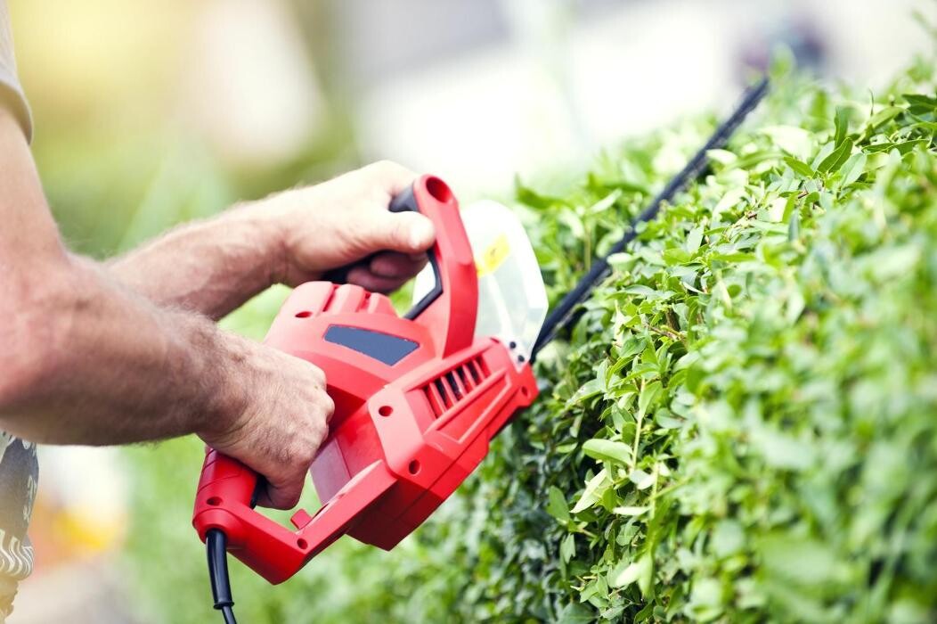 Images Forestal Vivariense S.L (STIHL)