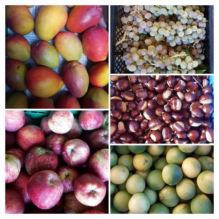 Images Frutas Rosán