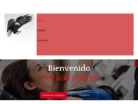 Screenshot for http://www.votary.es