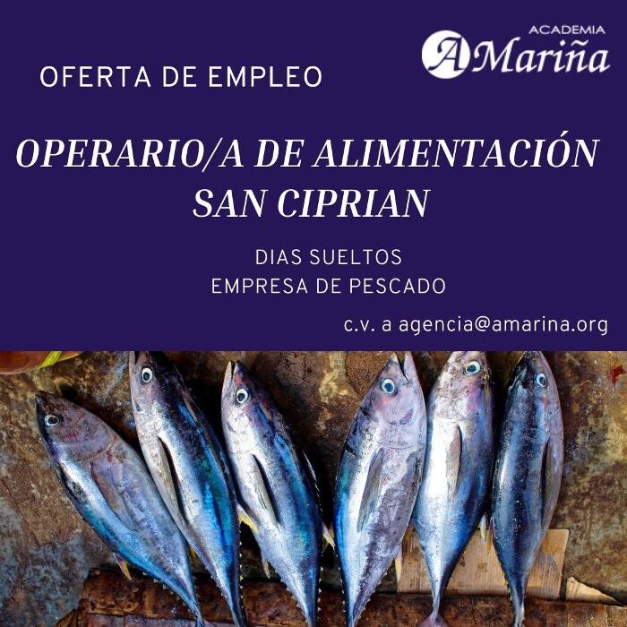 Images Academia A Mariña