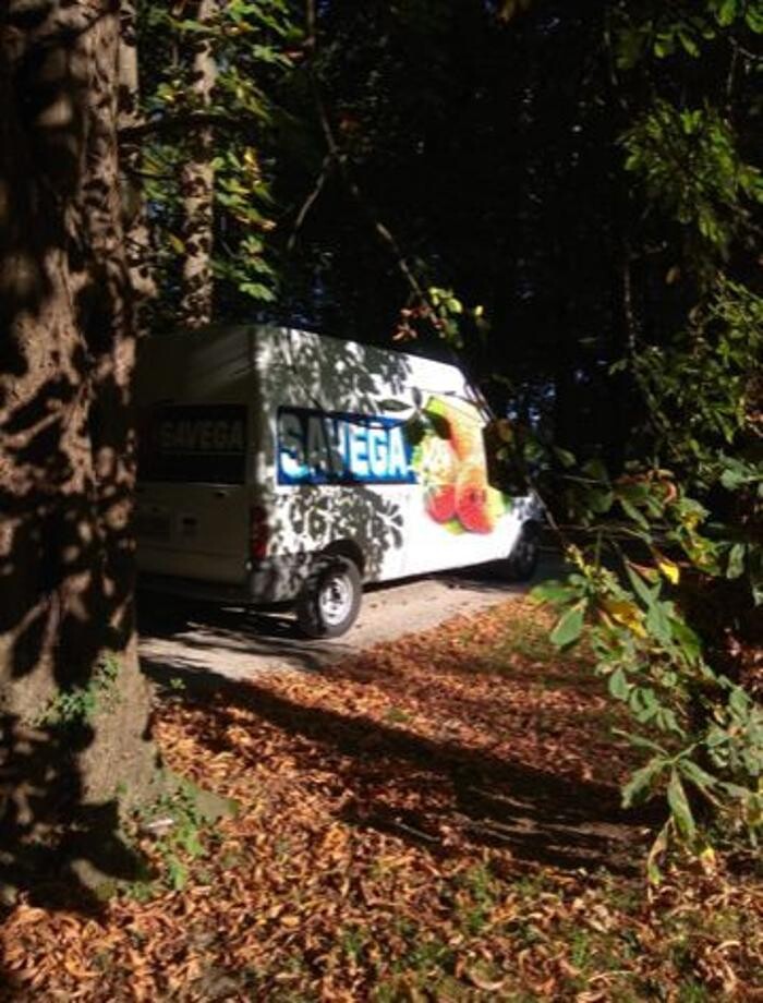 Images Supermercados Savega